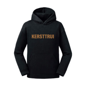 Alternative view of Kids Hoodie Kersttrui
